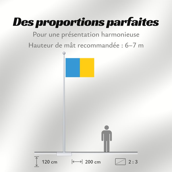 Proportions du drapeau : Province of Udine	Province d'Udine	Provincia de Udine	Provinz Udine	Provincia di Udine