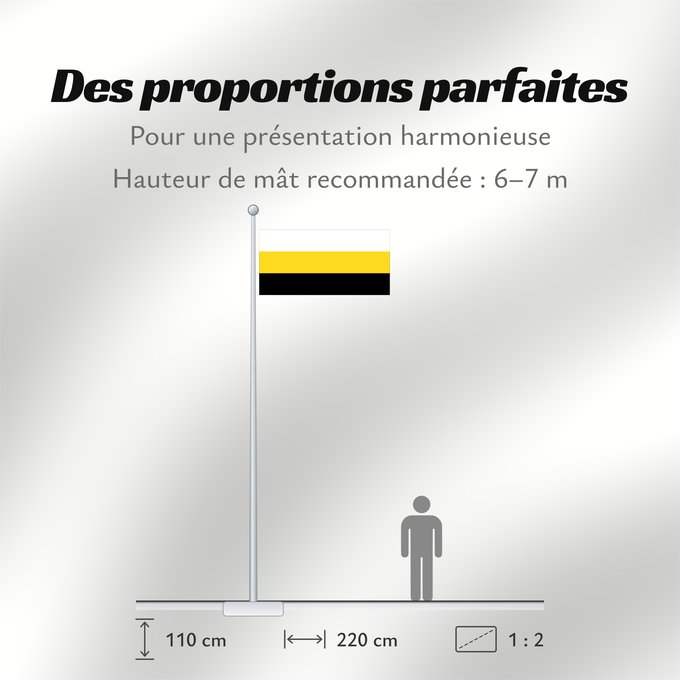 Proportions du drapeau : Perak	Malaysian state of Perak