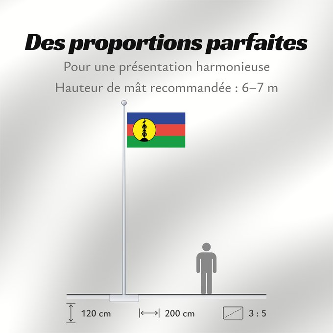 Proportions du drapeau : FLNKS	Kanak and Socialist National Liberation Front political party	Front de libération nationale kanak et socialiste	Colores Pantone http //www	Neukaledonien	Nuova Caledonia	Front d Alliberament Nacional Canac Socialista