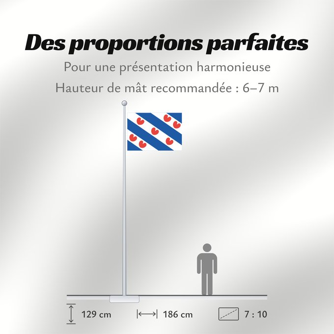 Proportions du drapeau : Frisian Dutch province of Friesland Frise Frisia Friesland De Friese vlag en het wapen hebben een gemeenschappelijke herkomst
