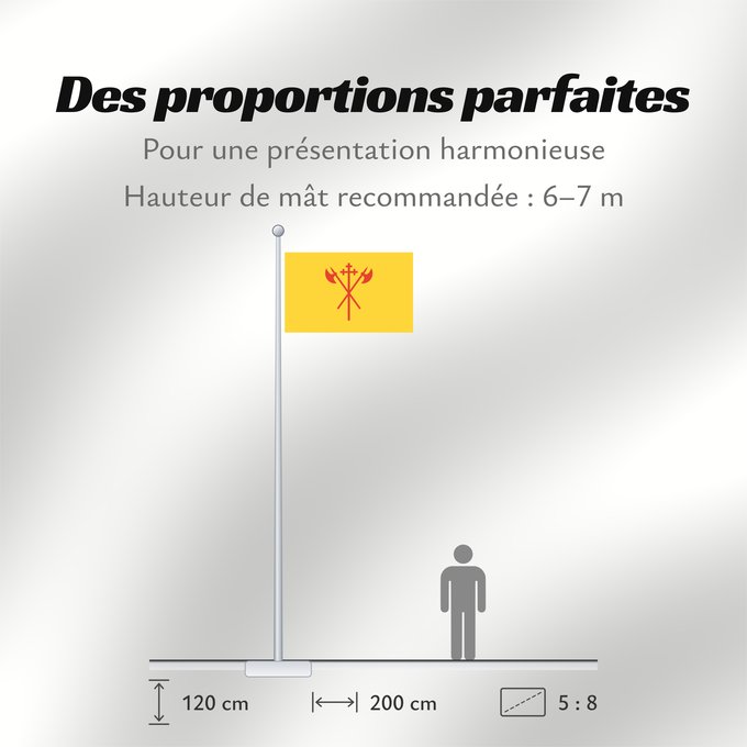 Proportions du drapeau : Sør-Trøndelag	Sør-Trøndelag County, Norway	comté de Sør-Trøndelag