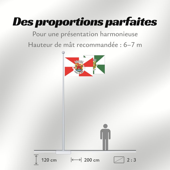 Proportions du drapeau : Leiria