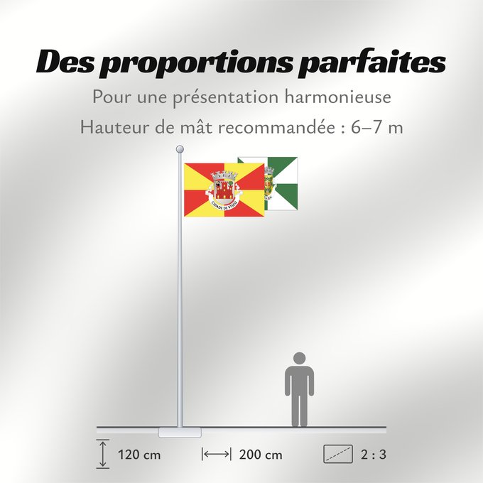 Proportions du drapeau : Viseu