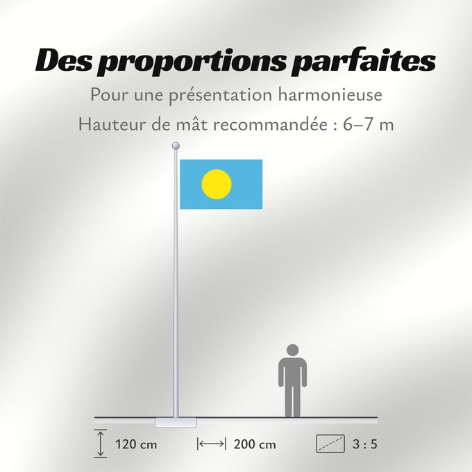 Proportions du drapeau : Palau	Palau, made by User Gabbe	 Palaos	Palaos	パラオの国旗	Palaua	​帕勞國旗
