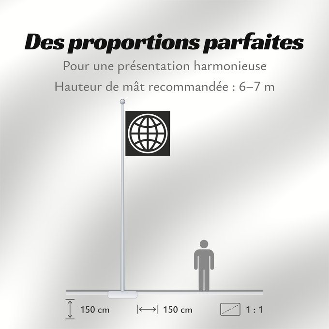 Proportions du drapeau : The World Bank Group