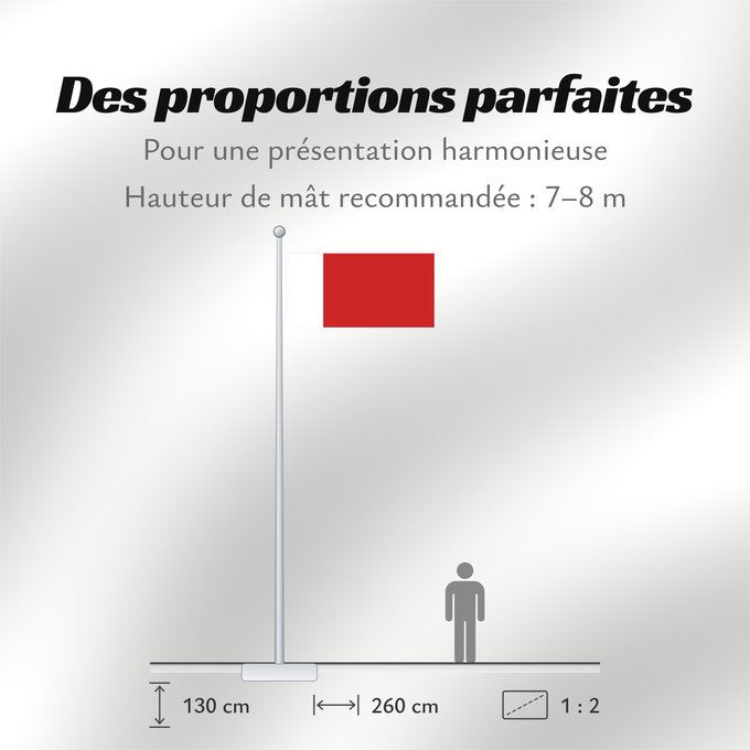 Proportions du drapeau : Dubai	Dubaï