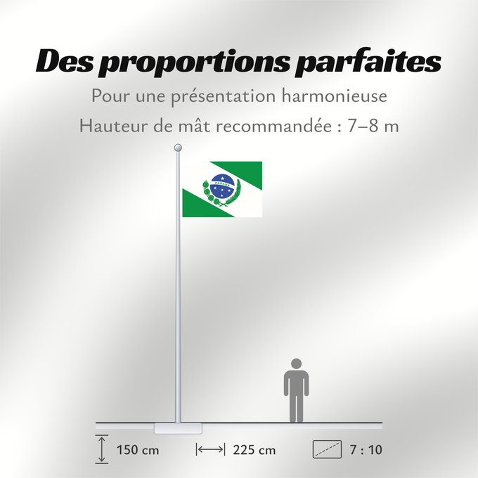 Proportions du drapeau : Paraná