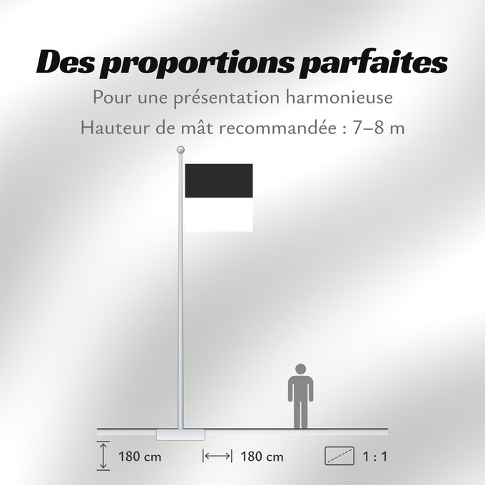 Proportions du drapeau : Canton of Fribourg Fribourg Kanton Freiburg