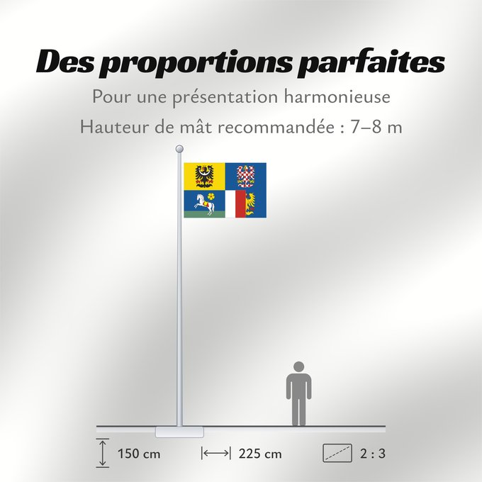 Proportions du drapeau : Moravian-Silesian Region Région de Moravie-Silésie Región de Moravia-Silesia Moravian-Silesian Moravskoslezského kraje čtvrcený list v horním žerďovém žlutém poli slezská orlice v dolním žerďovém modrém poli na zeleném trávníku