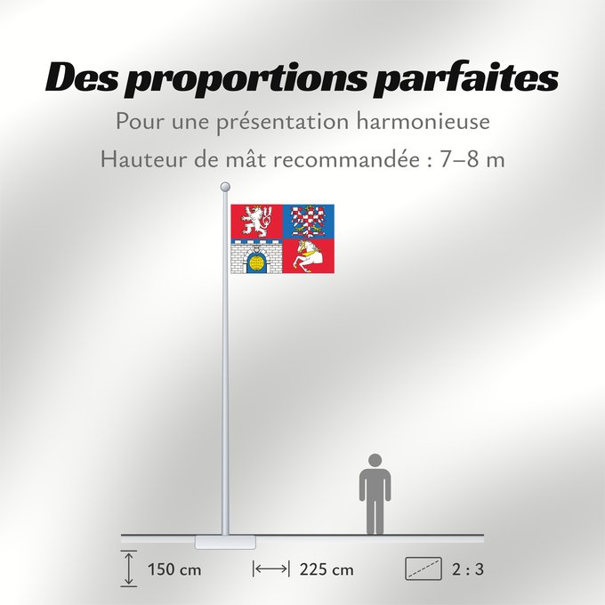 Proportions du drapeau : Pardubice Region	Région de Pardubice	Región de Pardubice	Region Pardubice	Pardubice Regione
