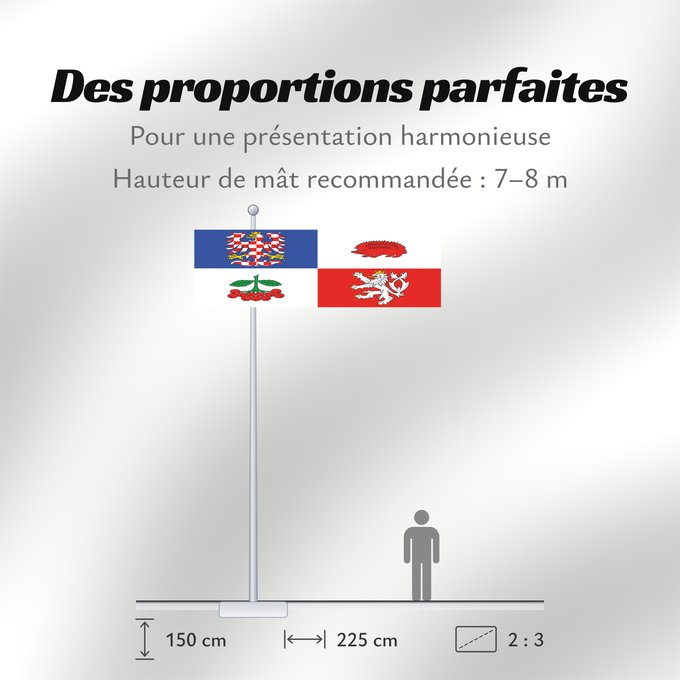 Proportions du drapeau : Vysocina Region Vysočina Region Région de Vysočina Región de Vysočina Region Vysočina