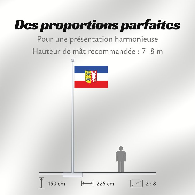 Proportions du drapeau : Schleswig-Holstein