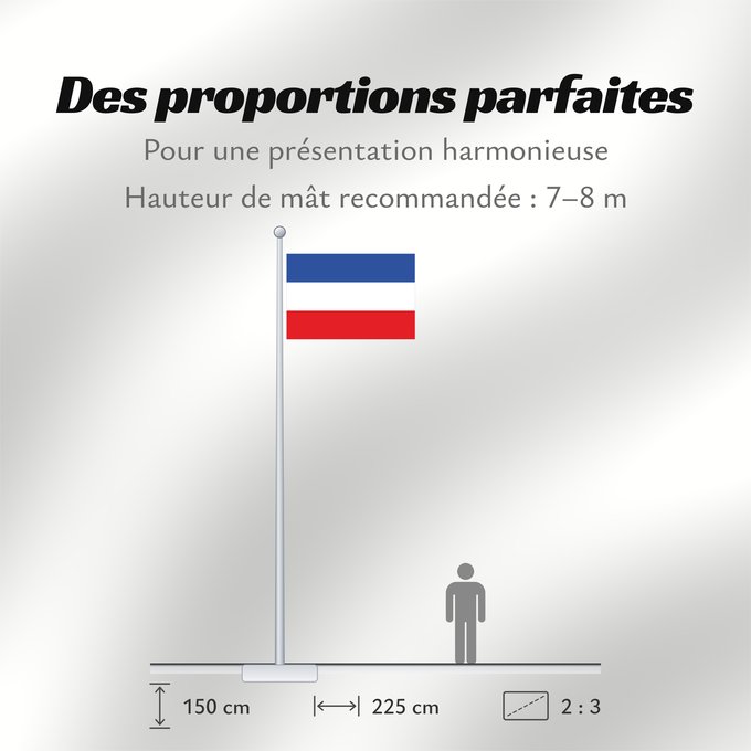 Proportions du drapeau : Schleswig-Holstein