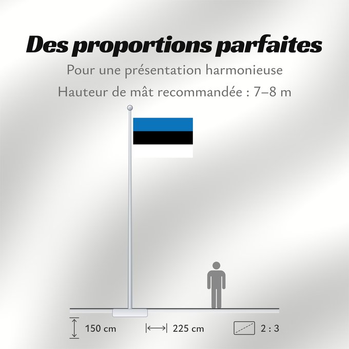 Proportions du drapeau : Estonia	L Estonie	Estland	Estone	Estónia	Estonii	Сцяг Эстоніі	Национално знаме на Естония	Estonská vlajka	Σημαία της Εσθονίας	Eesti lipp	پرچم کشور استونی	Viron	HEastóine	Észtország	エストニアの国旗	ესტონეთის დროშა	Estijos	Igaunijas	Знаме на Естонија	Estoniei	Флаг
