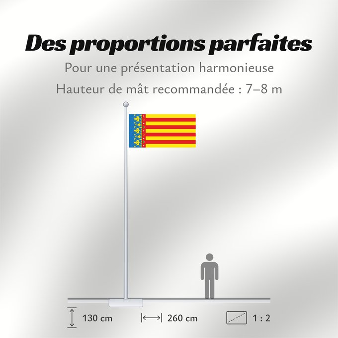Proportions du drapeau : Land of Valencia  official	Land of Valencia, 1 2 ratio	Valencia Community	Comunidad Valenciana, proporciones 1 2	Valencian Community	Comunità Valenciana	D o Comunidat Balenziana	Comunidá Valenciana	Comunitat Valenciana, proporcions 1 2	Valentziako Erkideg