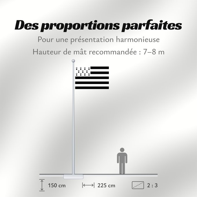 Proportions du drapeau : Brittany	The Gwenn-ha-du, flag of Brittany	Le Gwenn-ha-du, drapeau de la Bretagne	Spaniel Bretón	Bretagna	Ar Gwenn-ha-du, banniel Breizh