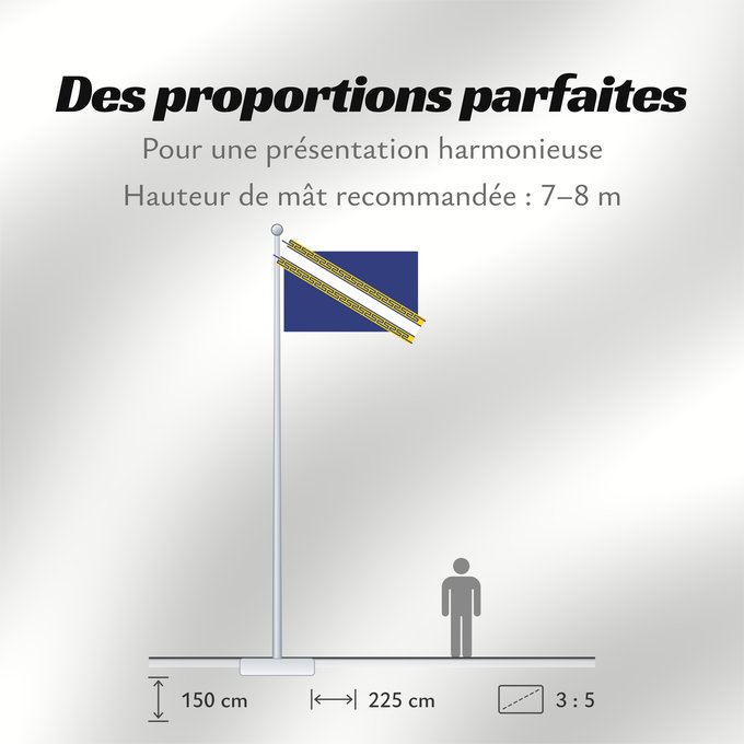 Proportions du drapeau : Champagne-Ardenne Region Champagne-Ardenne in France Région Champagne-Ardenne en France Champaña-Ardenas