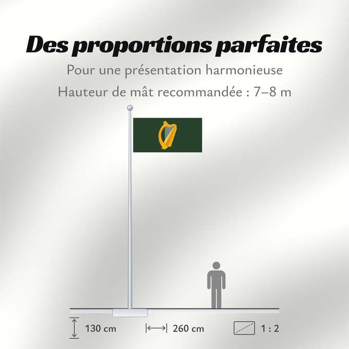 Proportions du drapeau : Leinster	W Leinster