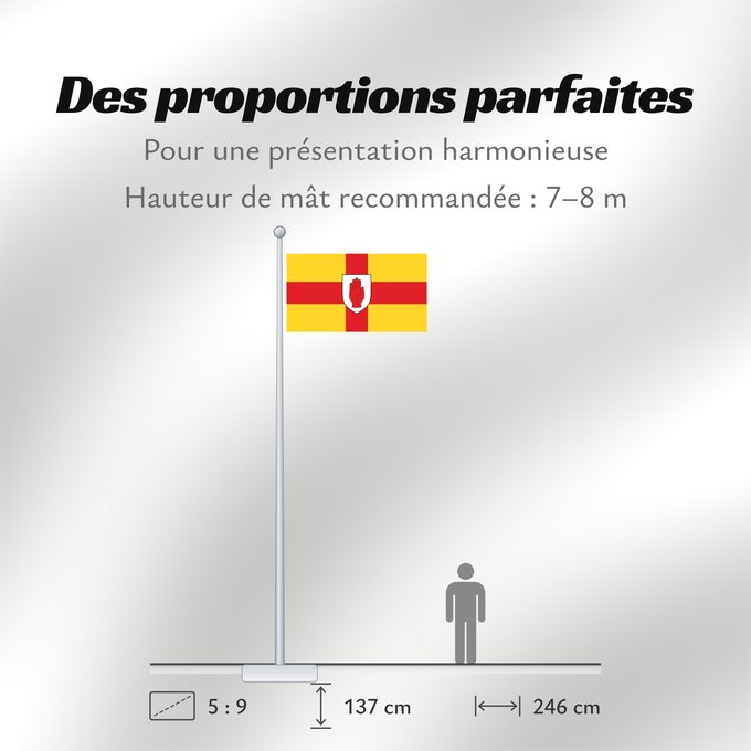 Proportions du drapeau : Ulster	Ulster  heraldic banner of traditional coat of arms of the province	Úlster 