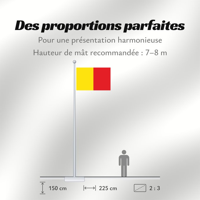 Proportions du drapeau : Naples	Province of Naples	Province de Naples	Provincia de Naples	Provinz Naples	Napoli