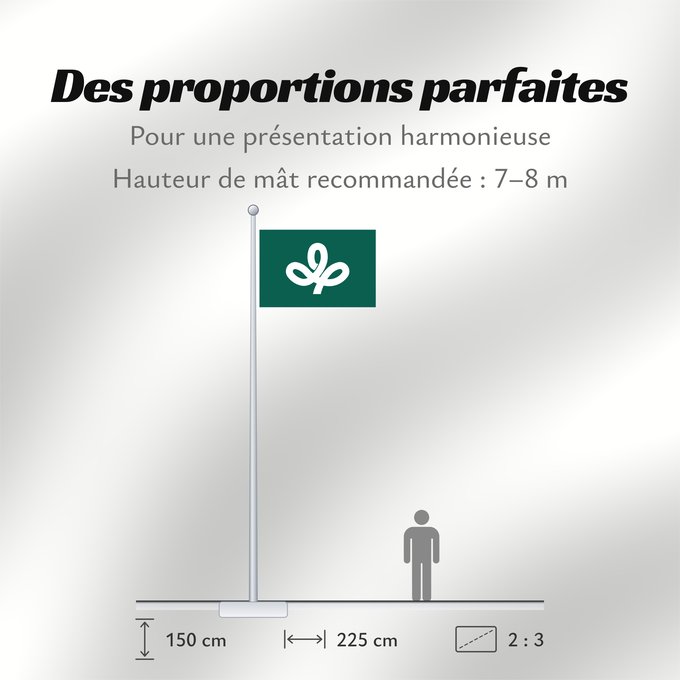 Proportions du drapeau : Miyagi Prefecture	préfecture de Miyagi	prefectura de Miyagi	Präfektur Miyagi,	Prefettura di Miyagi	宮城県旗