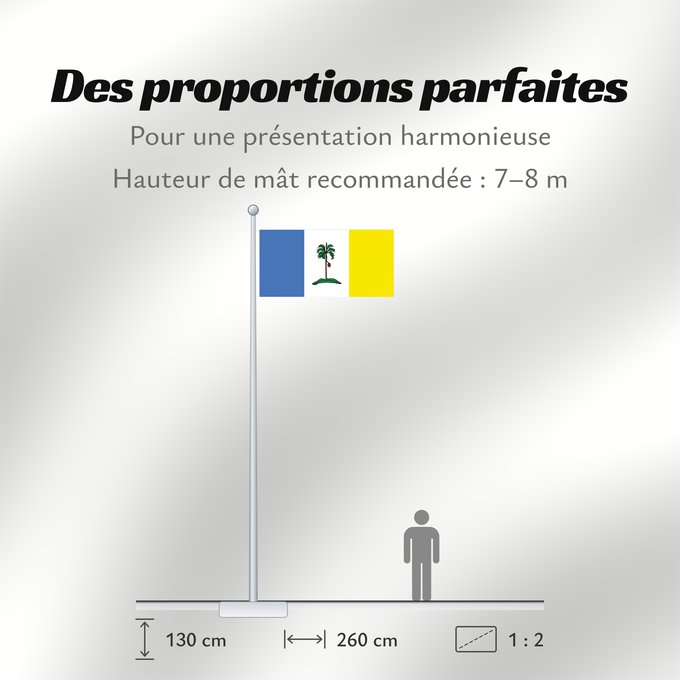 Proportions du drapeau : Pulau Pinang