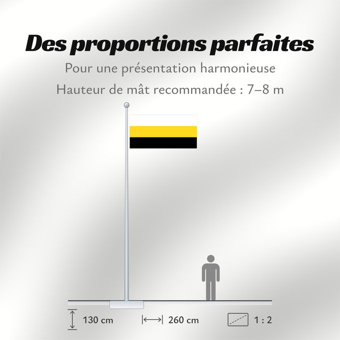Proportions du drapeau : Perak	Malaysian state of Perak