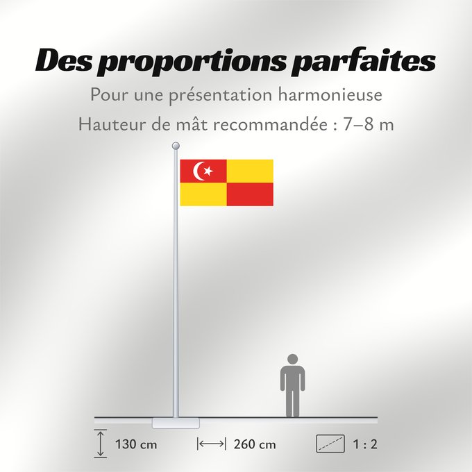 Proportions du drapeau : Selangor	Selangor 	Malaysian state Selangor
