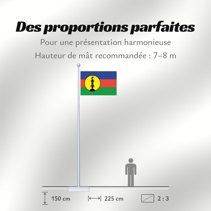 Proportions du drapeau : FLNKS	Kanak and Socialist National Liberation Front political party	Front de libération nationale kanak et socialiste	Colores Pantone http //www	Neukaledonien	Nuova Caledonia	Front d Alliberament Nacional Canac Socialista