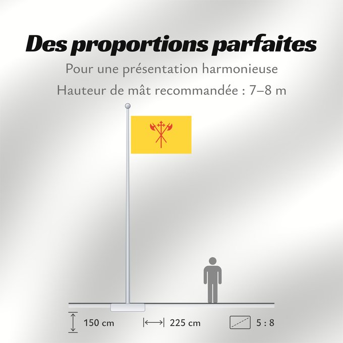 Proportions du drapeau : Sør-Trøndelag	Sør-Trøndelag County, Norway	comté de Sør-Trøndelag