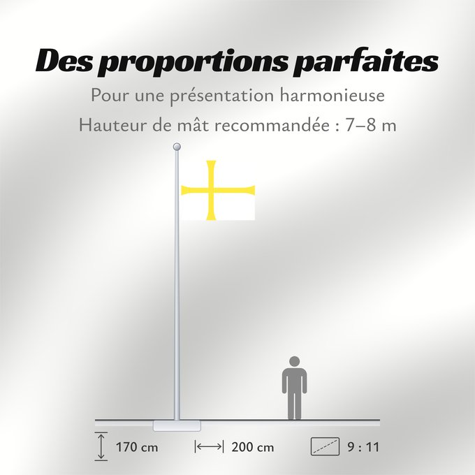 Proportions du drapeau : Nord-Trøndelag Nord-Trøndelag County, Norway comté de Nord-Trøndelag