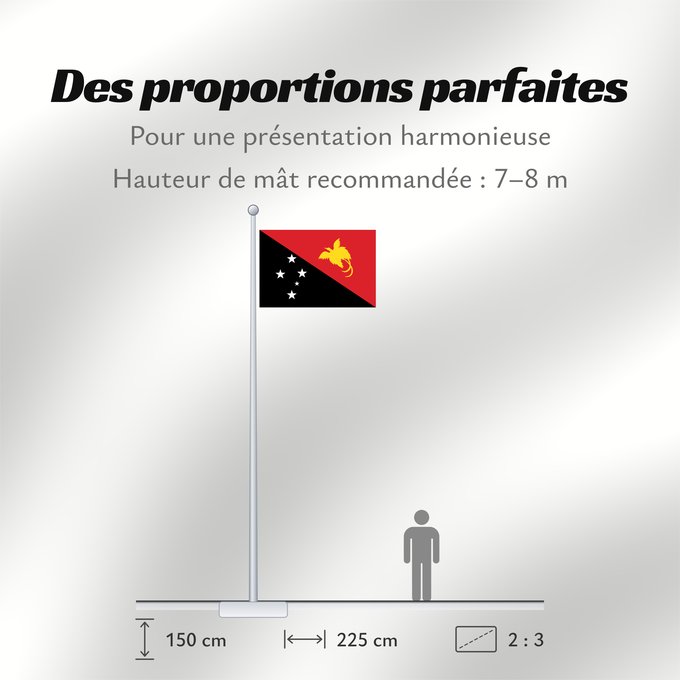 Proportions du drapeau : Papua New Guinea	Papua New GuineaColours Pantone 186 C for red and 116 C for yellow	Papouasie-Nouvelle-Guinée	Papúa Nueva Guinea	Papua-Neuguineas	Papua Nuova Guinea	Papoea-Nieuw-Guinea	Papua-Nova Guiné	Papui-Nowej Gwinei	علم بابوا غينيا الجديدة	পাপুয়া নি