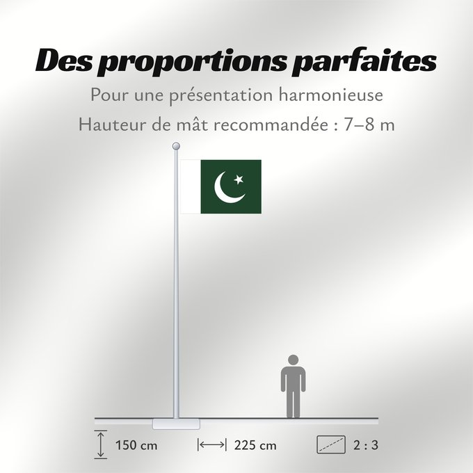 Proportions du drapeau : Pakistan	 Pakistan	Pakistán	Paquistão	علم باكستان	পাকিস্তানের জাতীয় পতাকা	পাকিস্তানর ফিরালহান	Pakistano	पाकिस्तान का ध्वज	ପାକିସ୍ତାନୀ ଝଣ୍ଡା	ਪਾਕਿਸਤਾਨ ਦਾ ਕੌਮੀ ਝੰਡਾ	د پاکستان بيرغ	Флаг Пакистана	Pakistana	பாக்கித்தான் கொடி	Прапор Пакистану	پاکستان کا پرچم