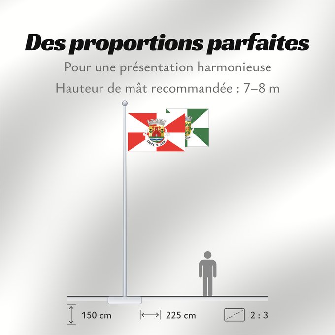 Proportions du drapeau : Leiria