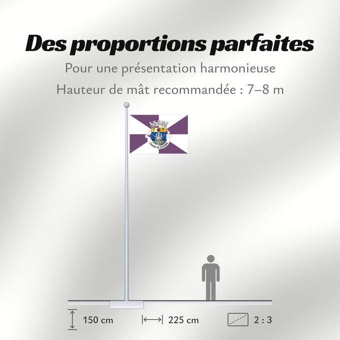 Proportions du drapeau : Setúbal
