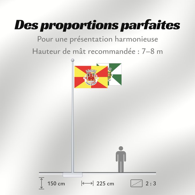 Proportions du drapeau : Viseu