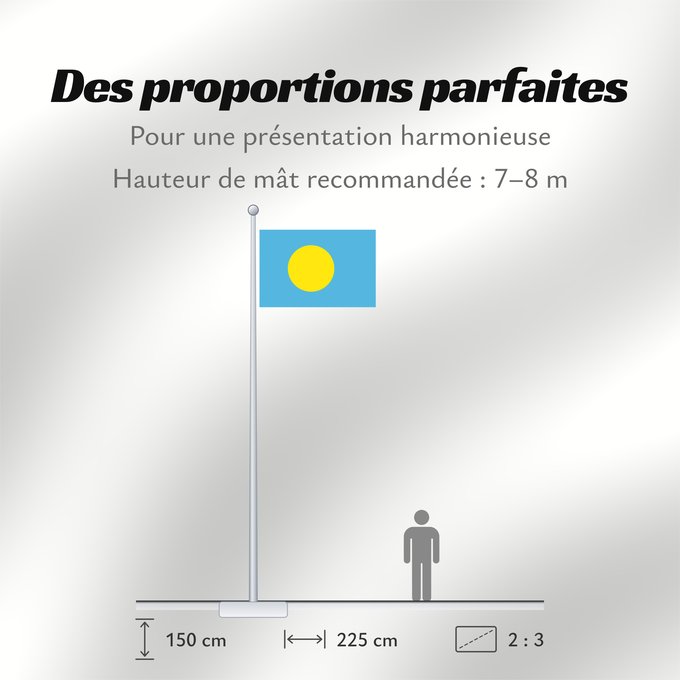 Proportions du drapeau : Palau	Palau, made by User Gabbe	 Palaos	Palaos	パラオの国旗	Palaua	​帕勞國旗