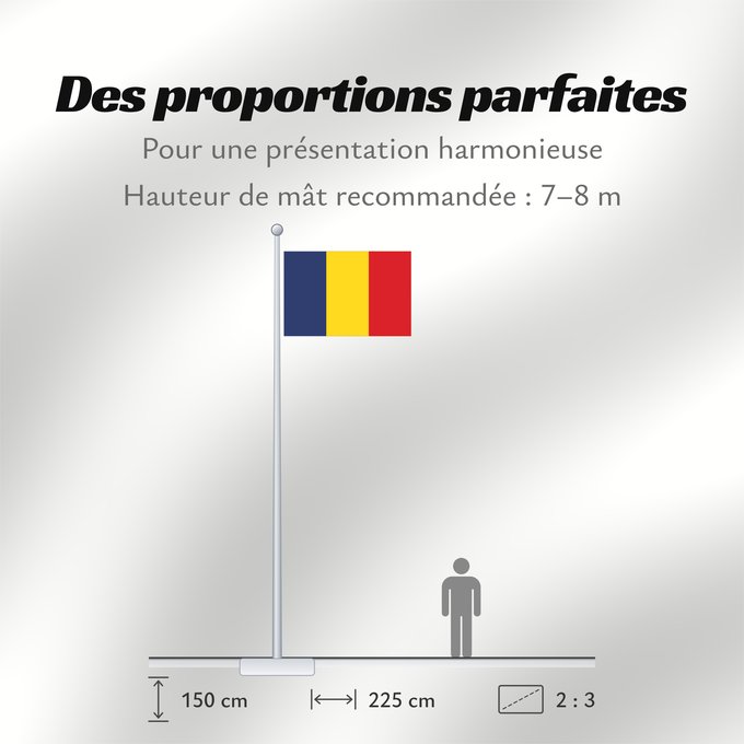 Proportions du drapeau : Romania	Romania from 1867 until 1947 and since 1989	Roumanie	Rumania	Rumäniens	Roemenië	Roménia	Rumunii	Сцяг Румыніі	Сьцяг Румыніі	Знаме на Румъния	Banniel Roumania	Rumunská vlajka	ꙁна́мѧ Роумꙑні́ꙗ	Rwmania	Rumæniens	Σημαία της Ρουμανίας	Rumeenia lipp	Roma