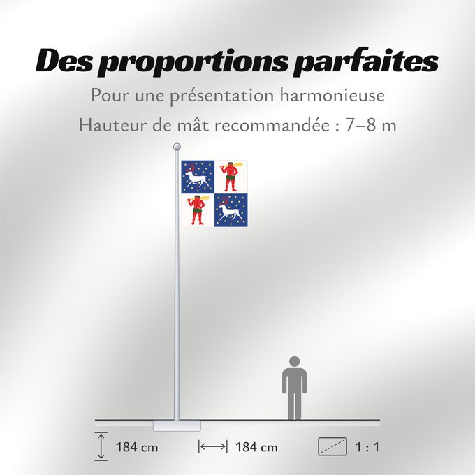 Proportions du drapeau : Norrbottens län vapenflagga	Norrbotten County in Sweden	Norrbotten	Norrbottens läns vapenflagga