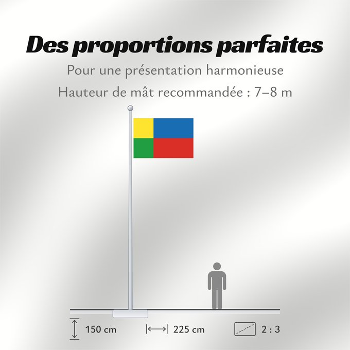Proportions du drapeau : Zilinsky vlajka	Žilina Region	Région de Žilina	Región de Žilina	Žilina