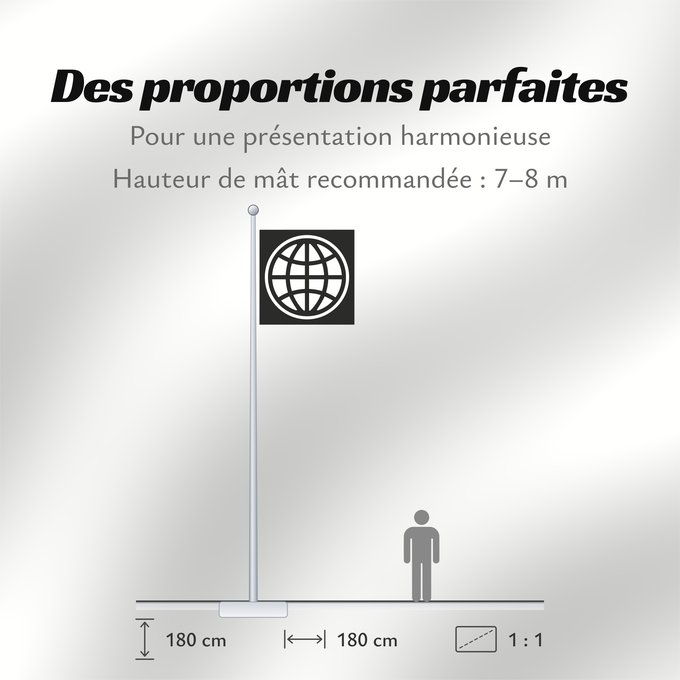 Proportions du drapeau : The World Bank Group