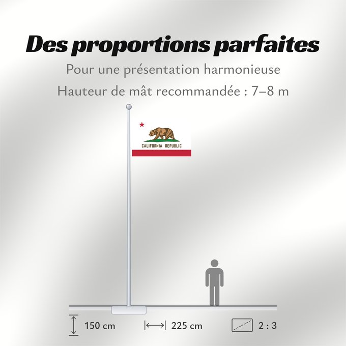 Proportions du drapeau : California	Californie	Kalifornien	Californië	ᎠᏕᎳᏧᏢᎢ ᎦᏓᏘ	Ka hae Kaleponi	דגל מדינת קליפורניה	Californiae	Ahééháshį́į́h Hahoodzo bidah naatʼaʼí	Флаг Калифорнии	Američke savezne države Kalifornije	ⴰⵙⴻⵏⵢⴰⵍ ⵏ ⴽⴰⵍⵉⴼⵓⵕⵏⵢⴰ