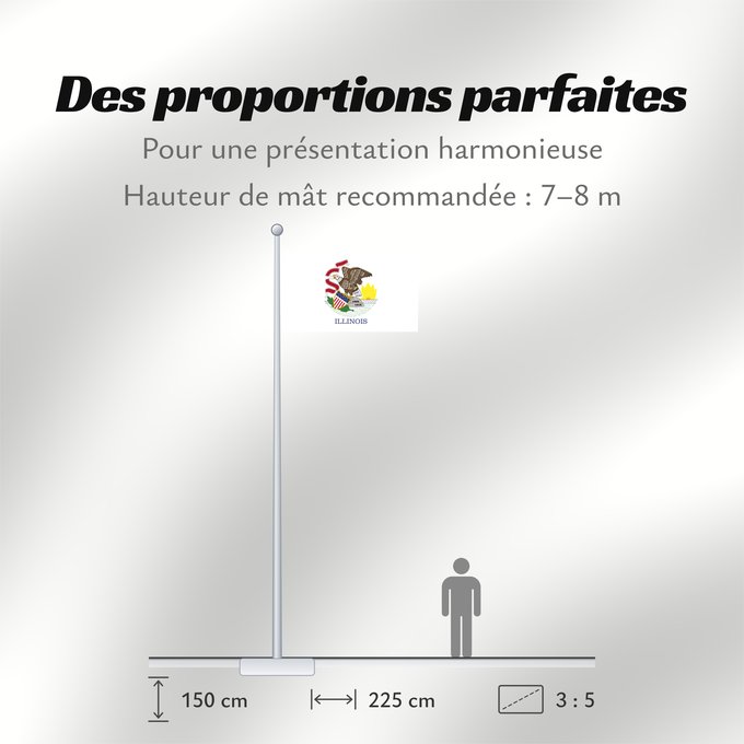 Proportions du drapeau : Illinois