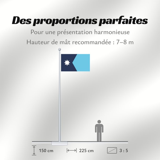 Proportions du drapeau : Minnesota Minnesota, since May 11, 2024