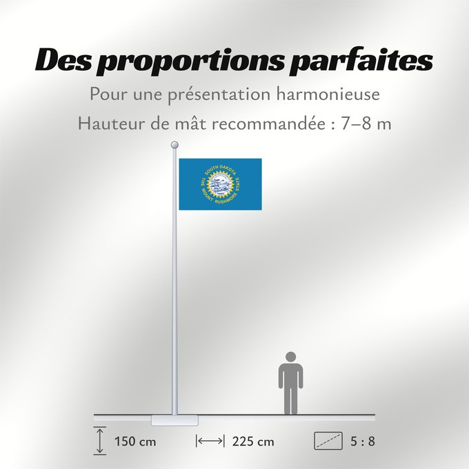 Proportions du drapeau : South Dakota Dakota du Sud Dakota del Sur Dakota del Sud ᏧᎦᎾᏮ ᏓᎧᏓ ᎦᏓᏘ Ka hae Kakoka Hema Dacota Meridionalis Shádiʼááhjí Dikóodah Hahoodzo bidah naatʼaʼí Флаг Южной Дакоты Američke savezne države Južne Dakote Прапор Південної Дакоти