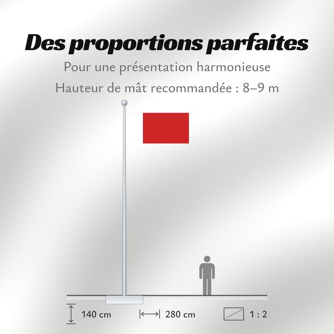 Proportions du drapeau : Dubai	Dubaï