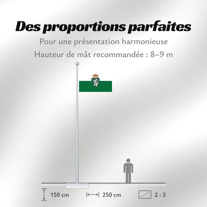 Proportions du drapeau : Styria	White-green. Colours of the state of Styria	Styrie	Estiria	Weiß-grün. Landesfarben der Steiermark	Stiria