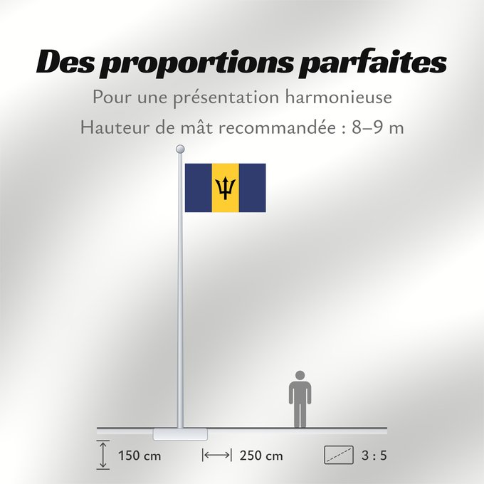 Proportions du drapeau : Barbados	Barbade	Barbado	Barbadoksen	Ala Barbadosê	Флаг Барбадоса	Barbadosa