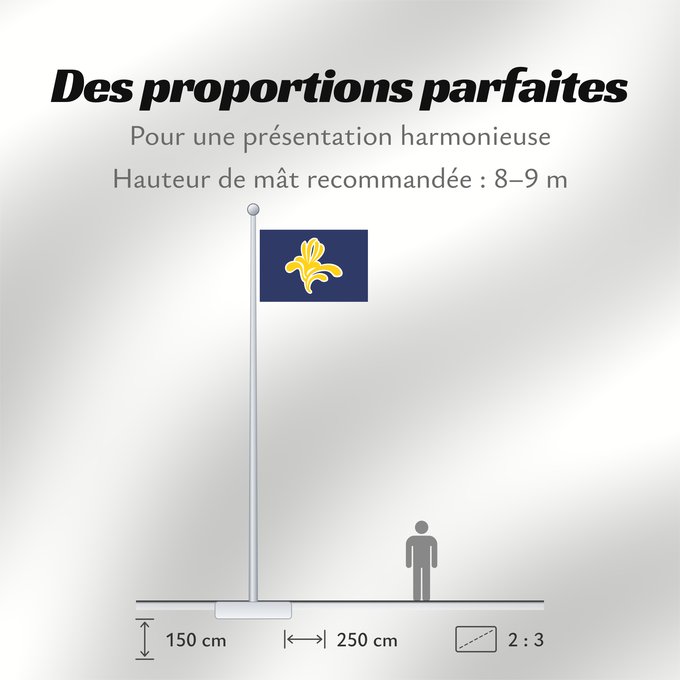 Proportions du drapeau : Brussels-Capital Region  1991–2015	Brussels-Capital Region between 1991 and 2015	Brüssel	Bruselas	Bruxelles	Fändel vun der Haaptstadregioun Bréissel	Прапор Брюсселю