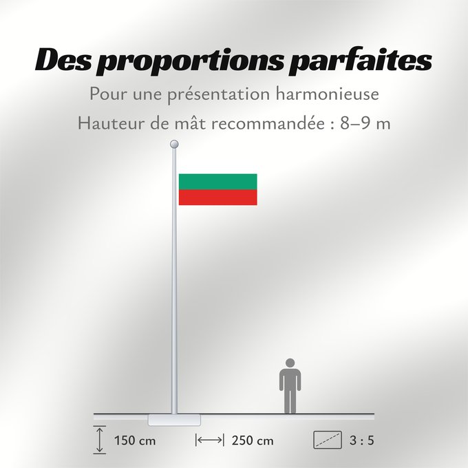Proportions du drapeau : Bulgaria La Bulgarie Bulgarien Bulgara Bulgarije Bulgária Bułgarii Национално знаме на България Bulharská vlajka ꙁна́мѧ Блъгарі́ꙗ Bulgariens Σημαία της Βουλγαρίας Bulgaaria lipp Bulgarian Bulgáire דגל בולגריה Bugarske ბულგარეთის დროშა Bulgaresche Fändel B